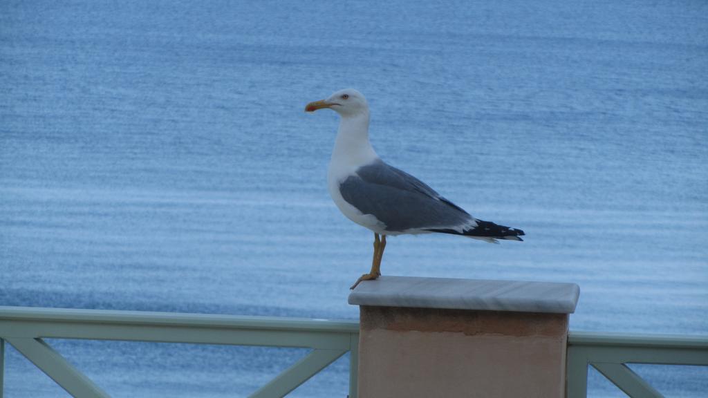 Apollonos Seafront Apartment 埃尔莫波利斯 外观 照片